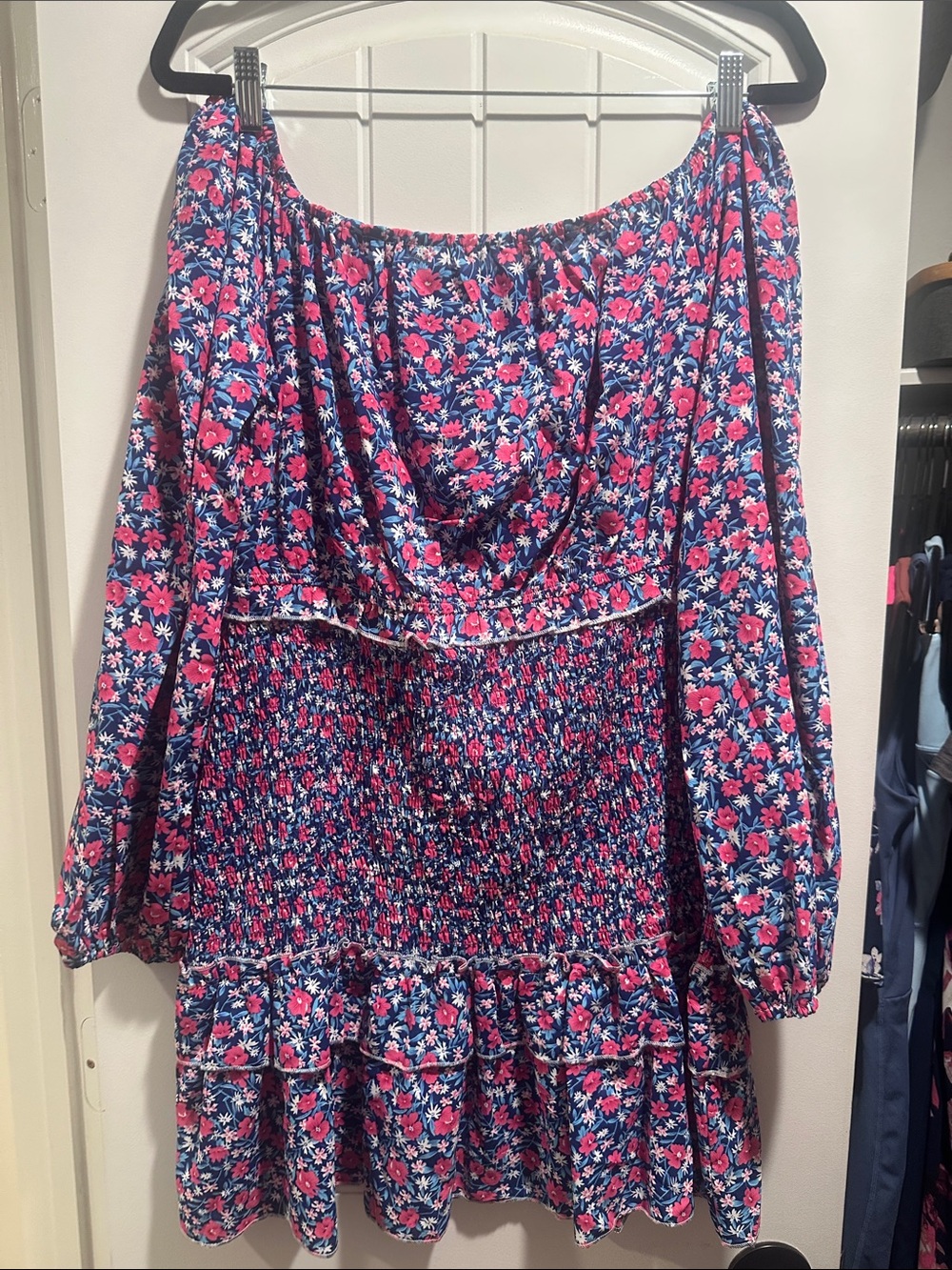 Smocked Long Sleeve Floral Mini Dress - Blue & Pink